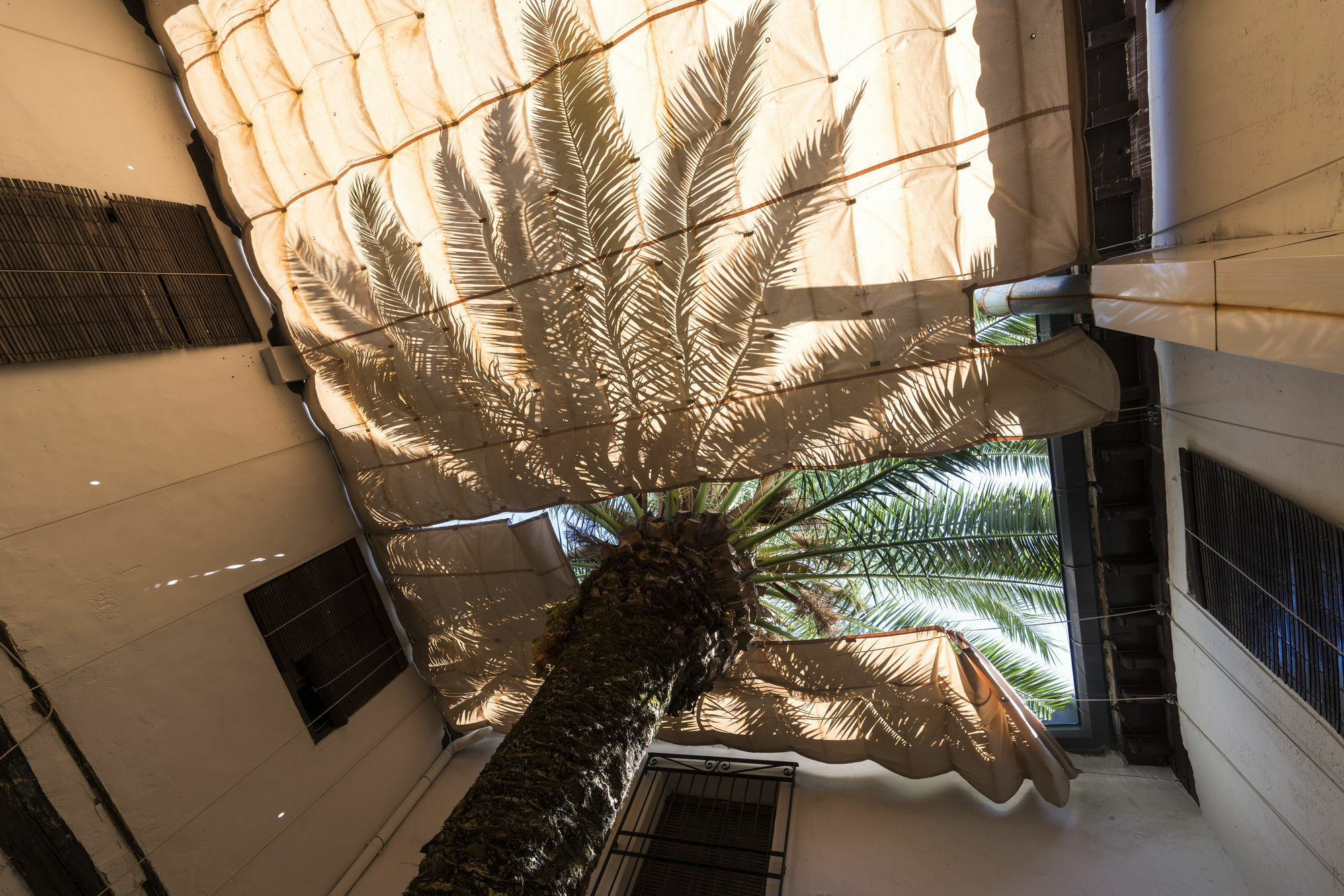 Hotel Rural Tia Pilar Almagro Zewnętrze zdjęcie